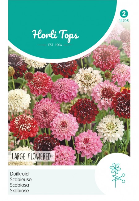 Scabiosa, Duifkruid gemengd