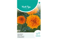 Tagetes, hoge Afrikaan Hawaii oranje