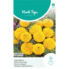 Tagetes, lage Afrikaan Golden Age