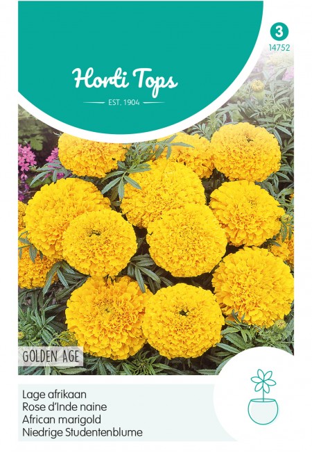 Tagetes, lage Afrikaan Golden Age