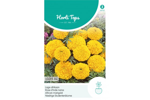Tagetes, lage Afrikaan Golden Age