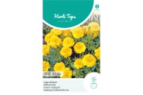 Tagetes, lage Afrikaan Petite Yellow