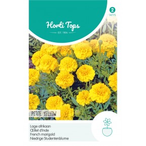 Tagetes, lage Afrikaan Petite Yellow