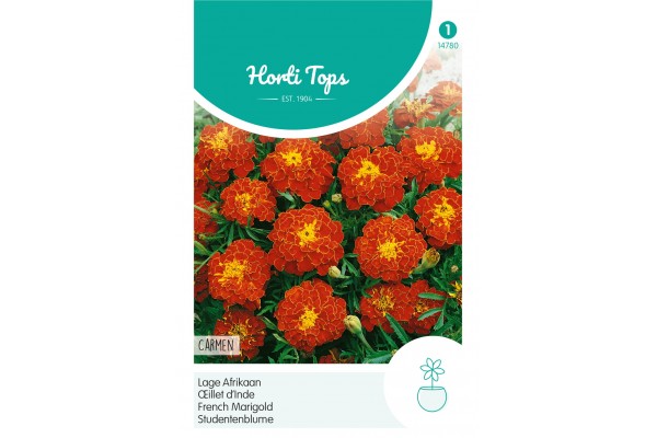 Tagetes, lage Afrikaan Carmen