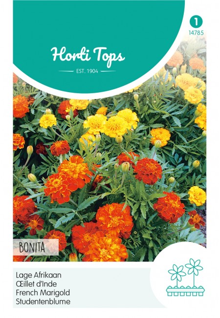Tagetes, lage Afrikaan Bonita gemengd