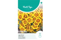 Tagetes, lage Afrikaan Naughty Marietta