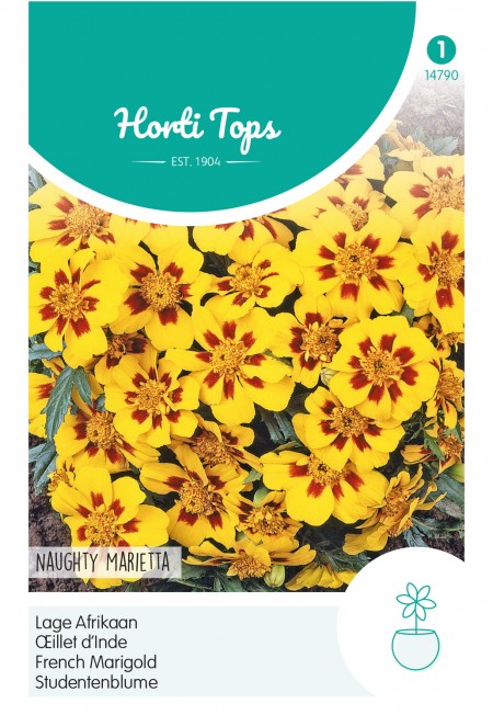 Tagetes, lage Afrikaan Naughty Marietta