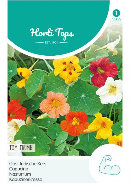 Tropaeolum, Oost-Indische Kers Tom Thumb