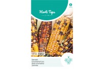 Zea mays, Siermais Little Jewels