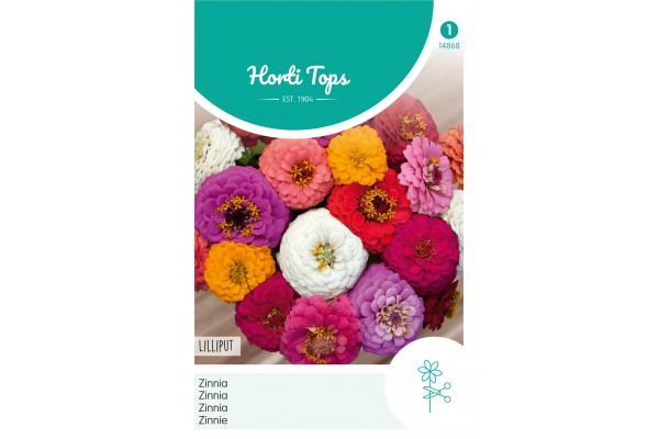 Zinnia Liliput gemengd