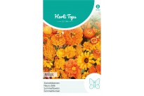 Zomerbloemen oranje tinten