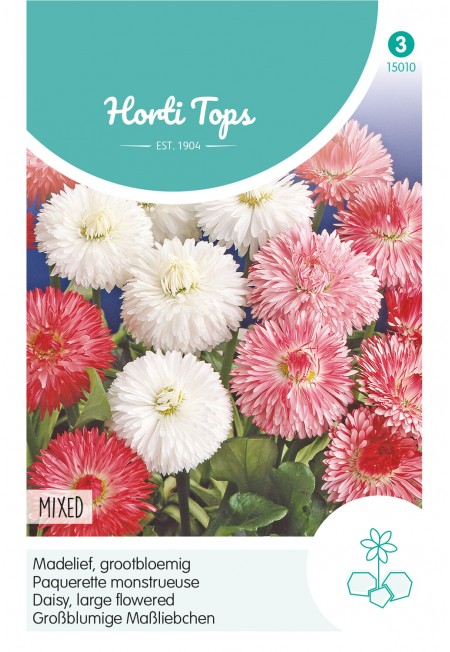 Bellis Perennis, Madelief Monstrosa dubbelbloemig gemengd