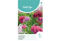Dianthus, Duizendschoon dubbelbloemig gemengd
