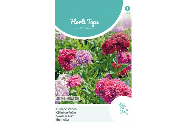 Dianthus, Duizendschoon dubbelbloemig gemengd