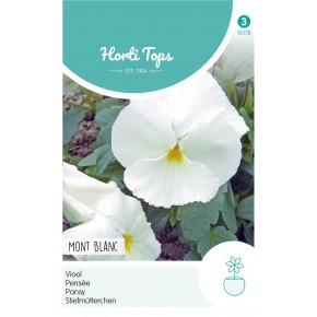 Viola, Viool Mont Blanc