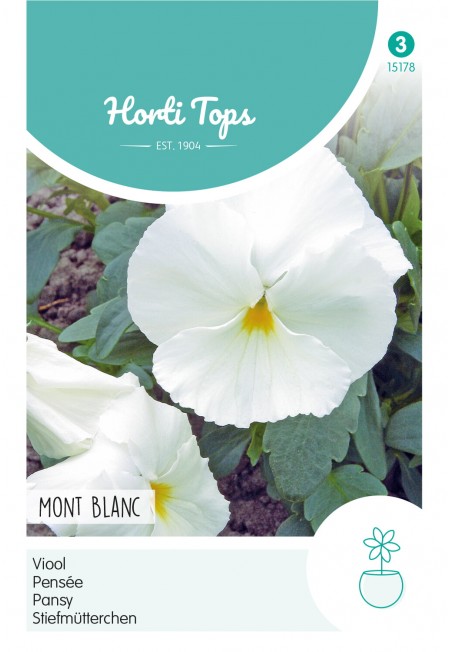 Viola, Viool Mont Blanc