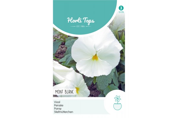 Viola, Viool Mont Blanc