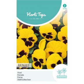 Viola, Viool Rheingold