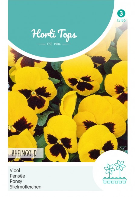 Viola, Viool Rheingold