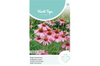 Echinacea, Rode Zonnehoed