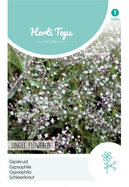Gypsophila, Gipskruid enkelbloemig wit