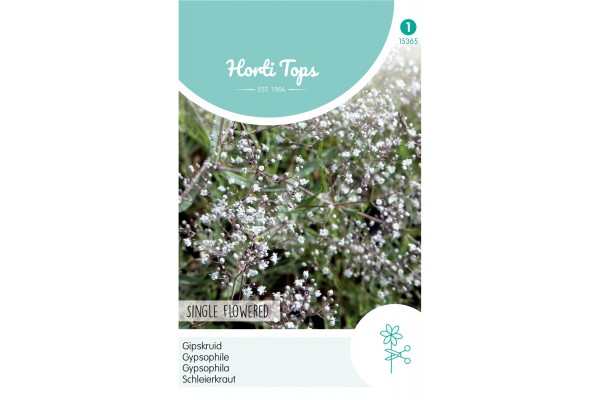 Gypsophila, Gipskruid enkelbloemig wit