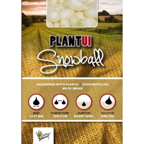 Plantuien Snowball 250g