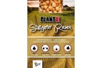 Plantuien Stuttgarter Riesen 100g