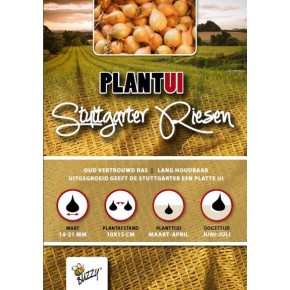 Plantuien Stuttgarter Riesen 250g