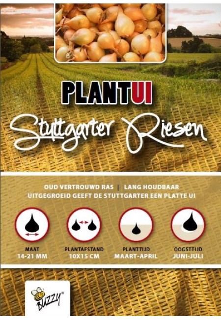 Plantuien Stuttgarter Riesen 500g