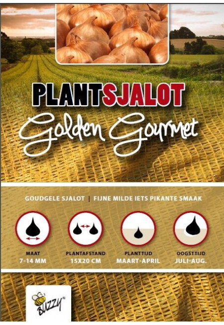 Plantsjalotten Golden Gourmet 250g