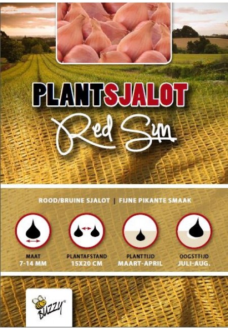 Plantsjalotten Red Sun 250g