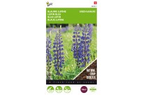 Lupine Blauwe Bittere 100g (8)