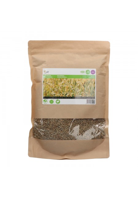 Winterrogge 1kg