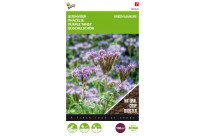 Phacelia tanacetifolia 100g (8)