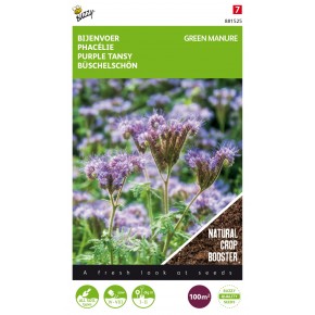 Phacelia tanacetifolia 100g (8)