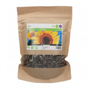Helianthus annuus giganteus 250g