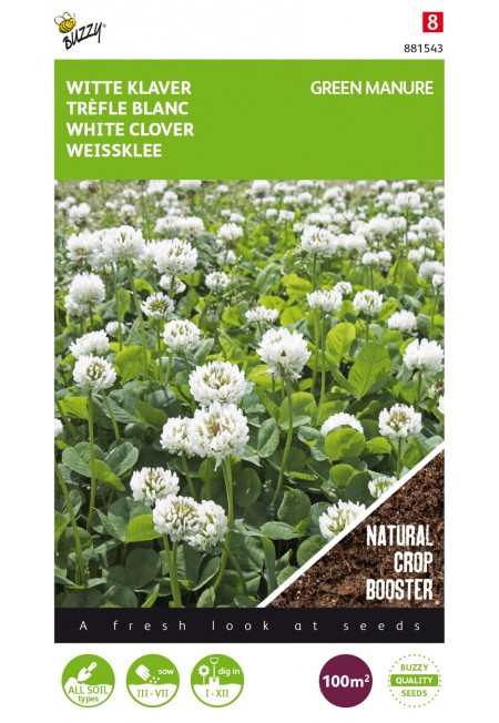 Witte Klaver 100g (8)