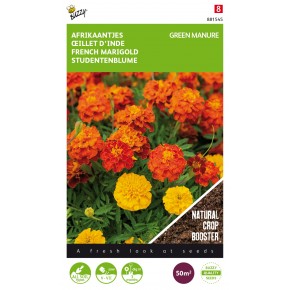 Tagetes Bonita 50g (8)
