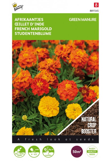 Tagetes Bonita 50g (8)